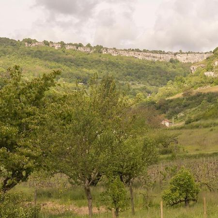 Saint-Romain  Maison Picard מראה חיצוני תמונה